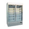 Vertical Swing Upright Glass Door Freezer with Temperature -18~-23 Celsius