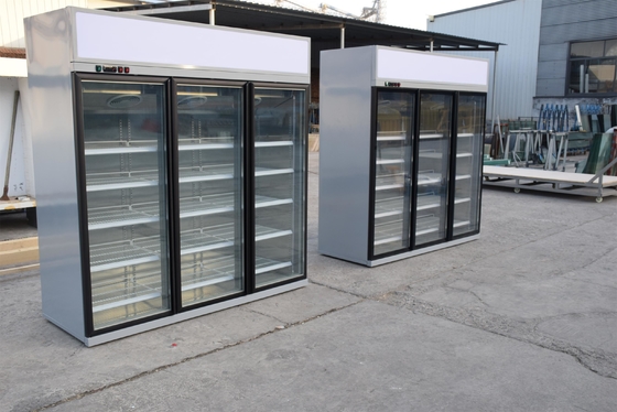 Aufrechte multi Plattform-Kühlvorrichtung mit doppelverglaster Glastür